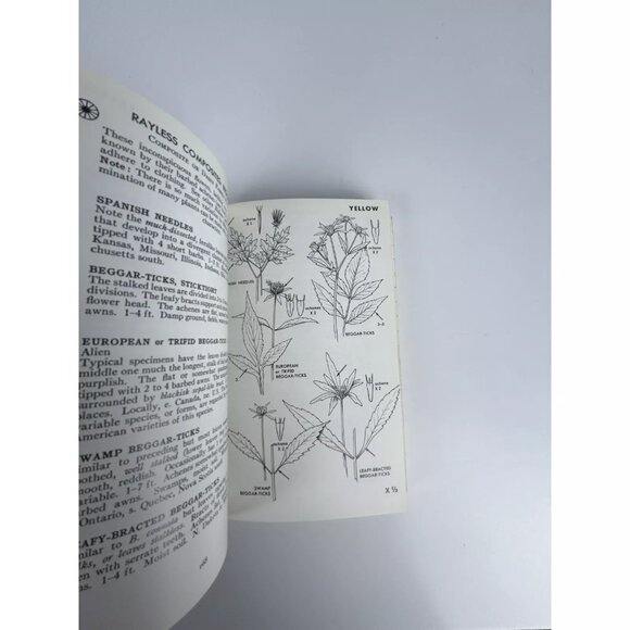 A Field Guide To Wildflowers Peterson McKenny 1968‎ NE & NC North America - Picture 9 of 9